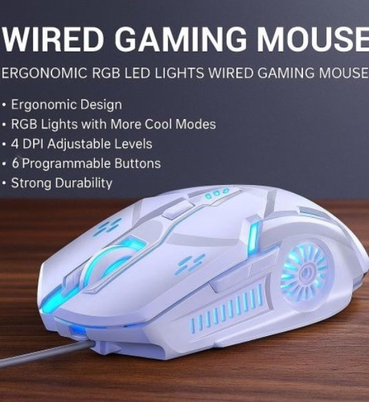 b mouse